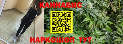 прущие крисы Будённовск